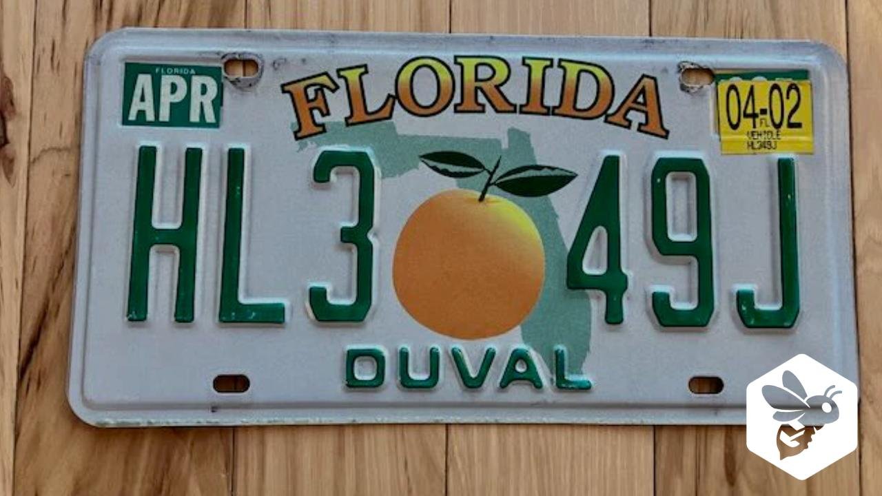 Florida License Plates 2025: Complete Guide for Drivers